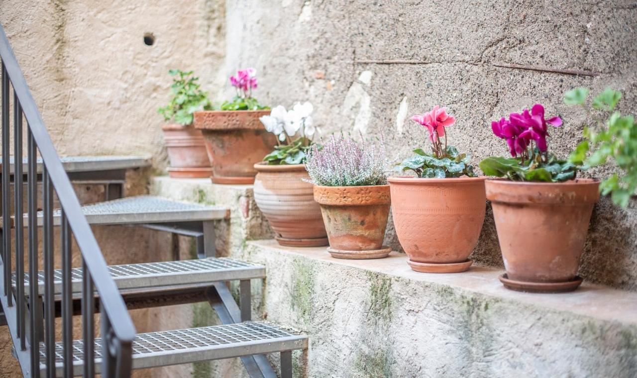 Cal Giral II Bed & Breakfast Cornudella de Montsant Exterior foto